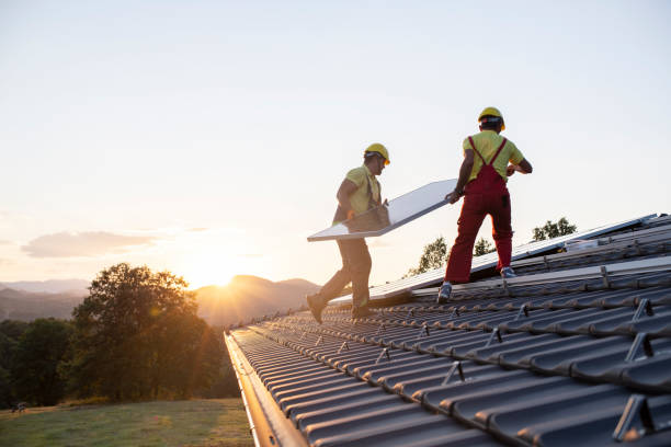 Best Roof Moss and Algae Removal  in Oakdale, CA